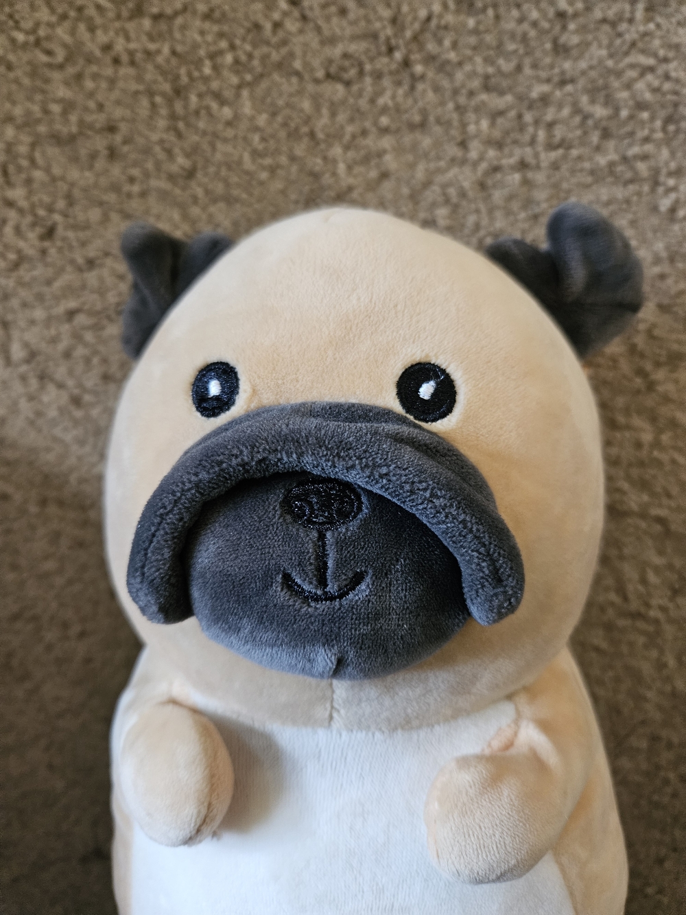 Squishmallows Beige and Gray Plush Pug